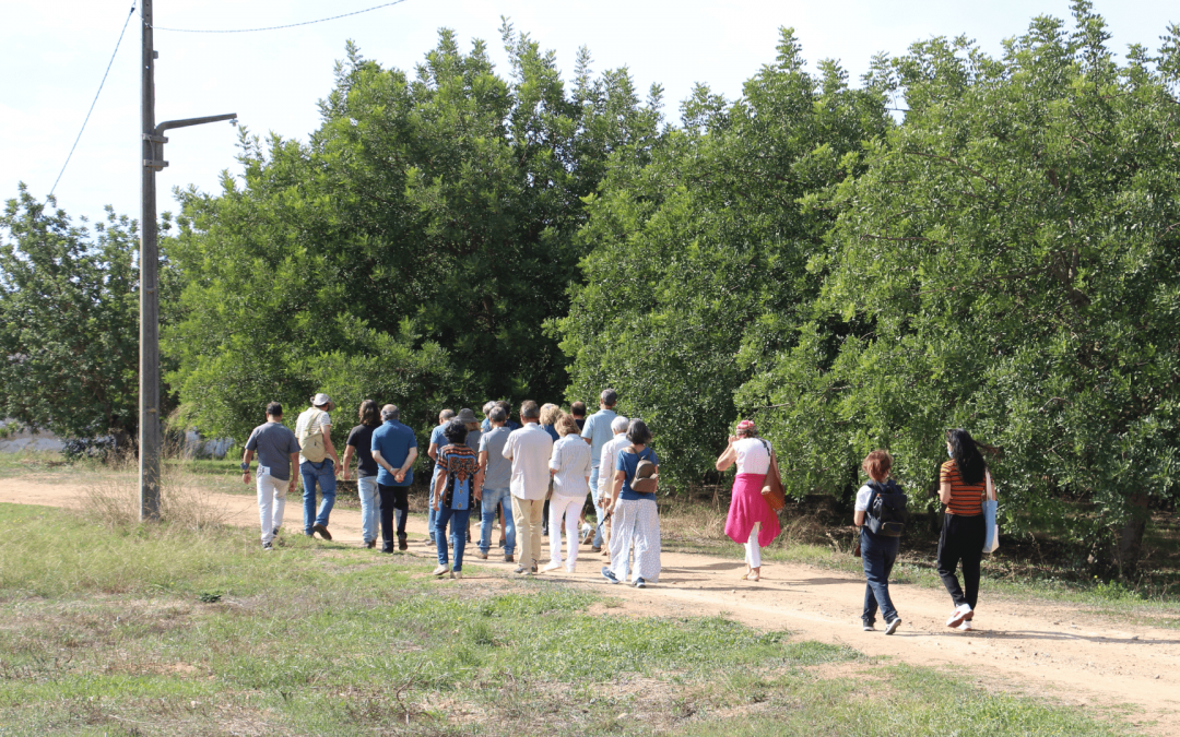 Guided visit to promote the Mediterranean Diet